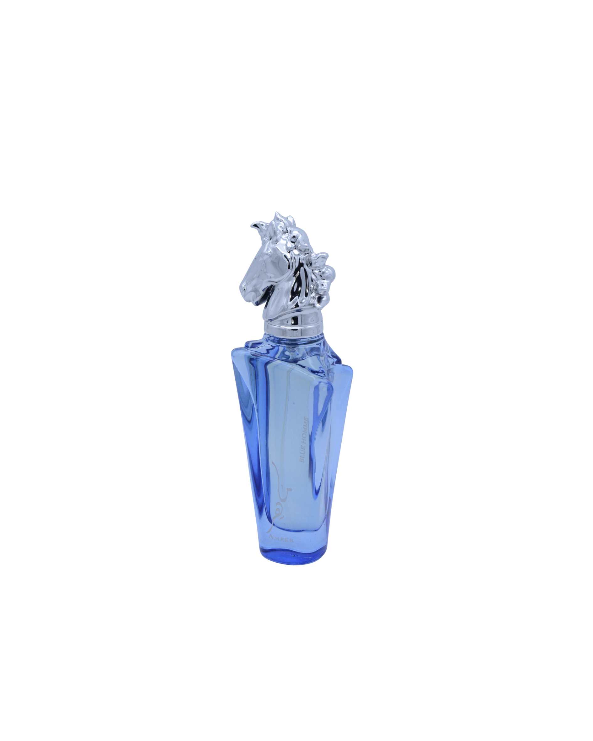 Ameer Blue Homme - Fragrance Avenue - Eau de Parfum (30ml)